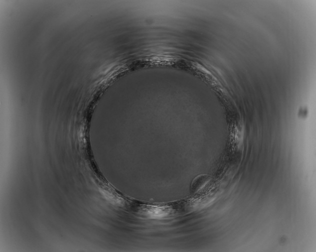 X0000098000663200804071219