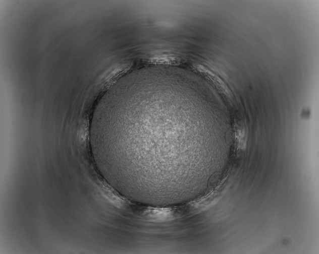 X0000098000665200804071219
