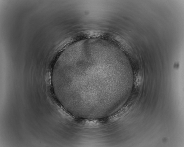 X0000098000666200804071219