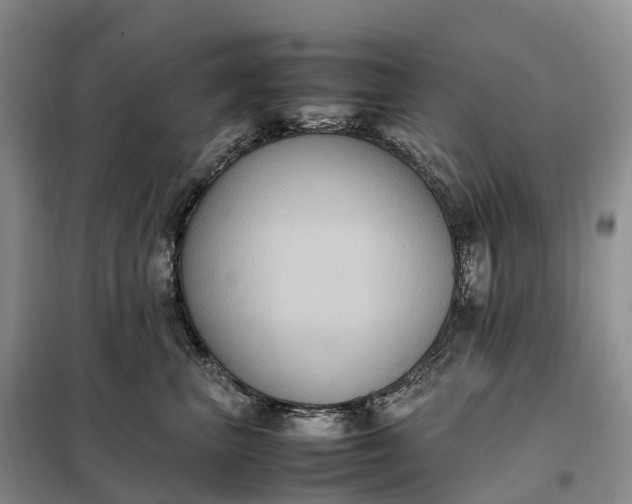 X0000098000667200804071219