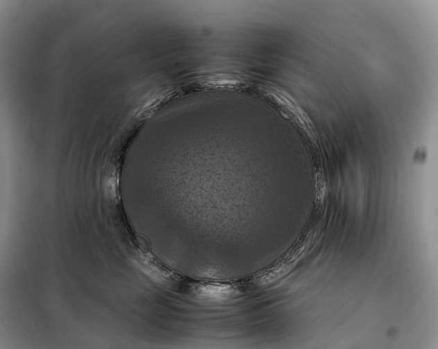 X0000098000669200804071219