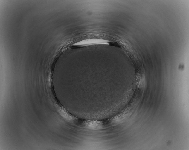 X0000098000670200804071219