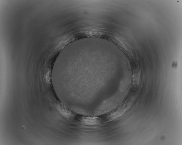 X0000098000671200804071219