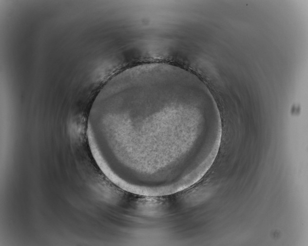 X0000098000672200804071219
