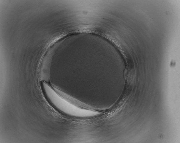 X0000098000673200804071219