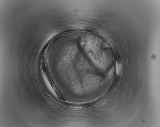 X0000098000675200804071219