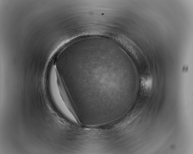 X0000098000676200804071219