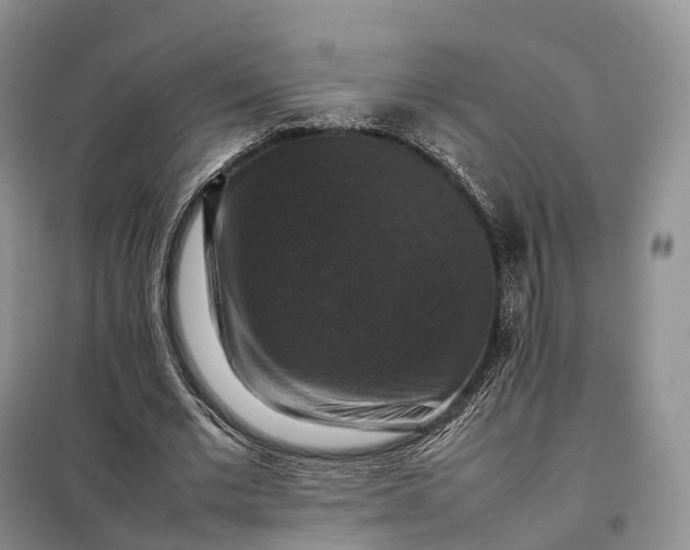X0000098000677200804071219