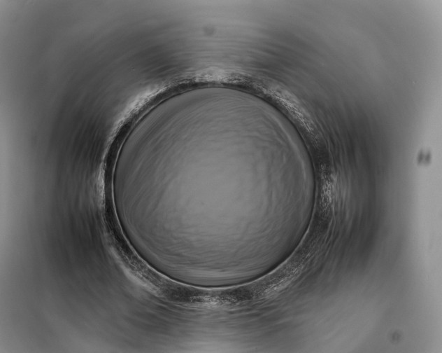 X0000098000678200804071219