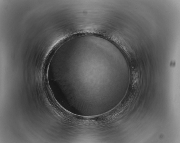 X0000098000680200804071219