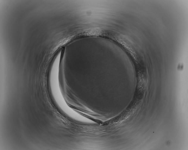X0000098000681200804071219