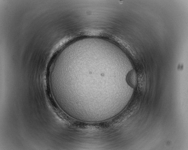 X0000098000682200804071219