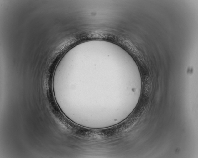 X0000098000683200804071218
