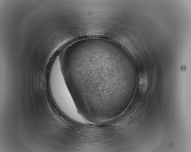 X0000098000684200804071218