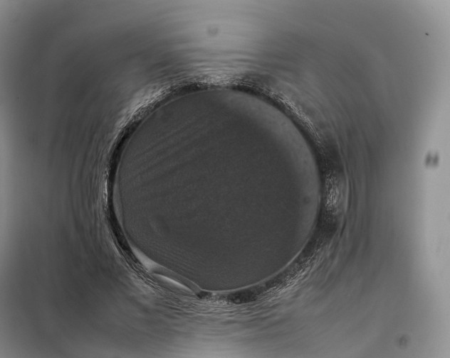 X0000098000685200804071218