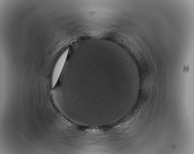 X0000098000689200804071218