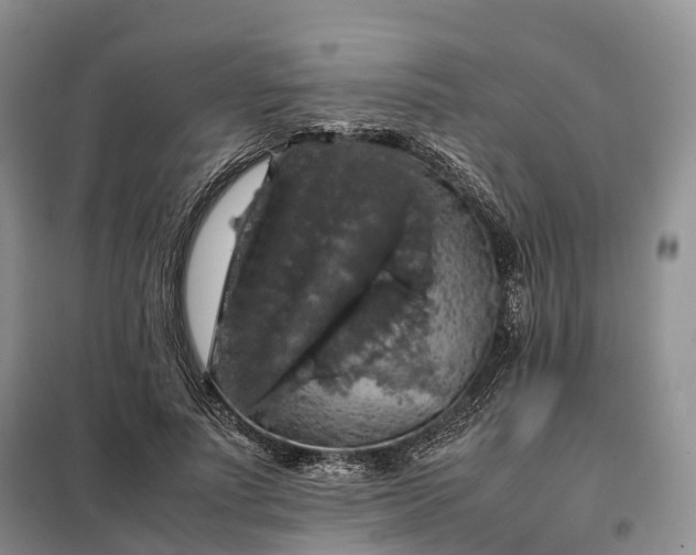 X0000098000691200804071218