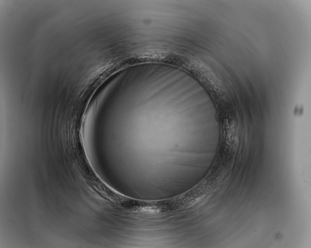 X0000098000692200804071218