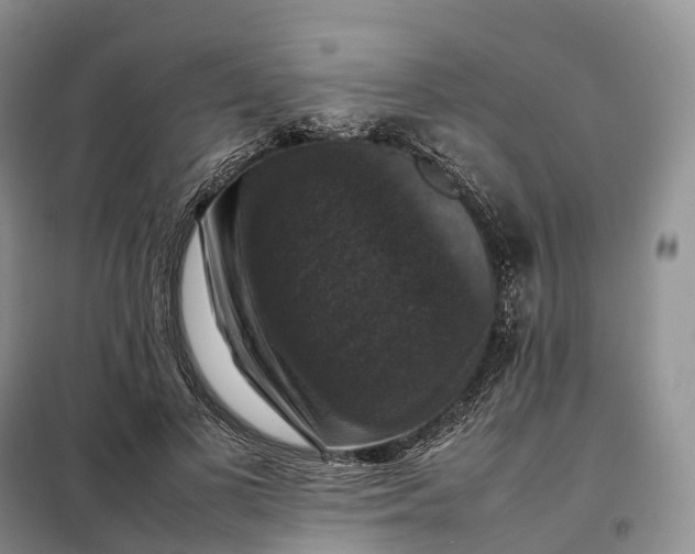 X0000098000693200804071218