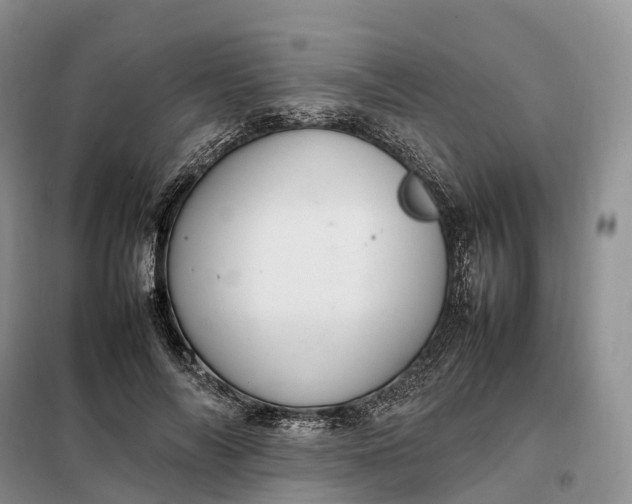 X0000098000694200804071218