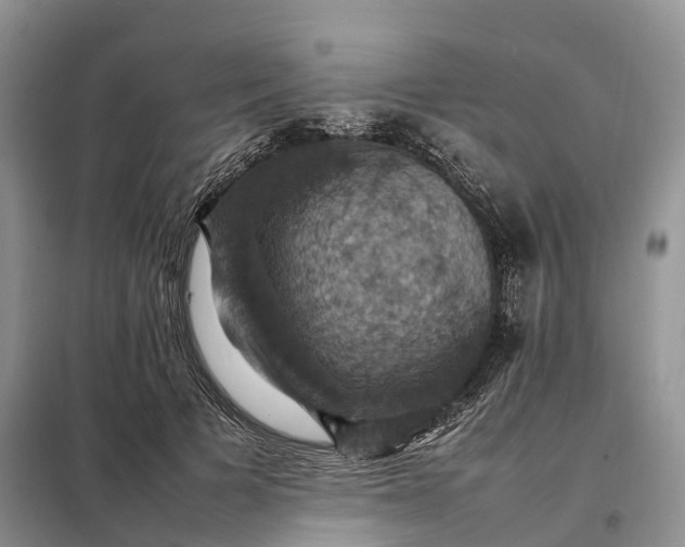 X0000098000697200804071218