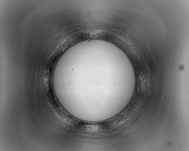 X0000098000698200804071218