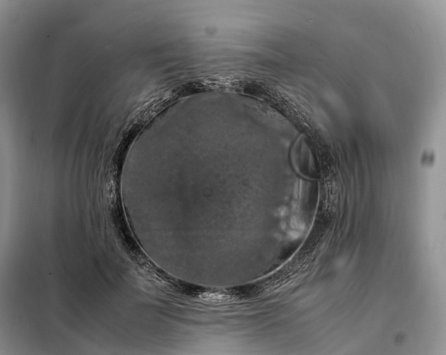 X0000098000699200804071218