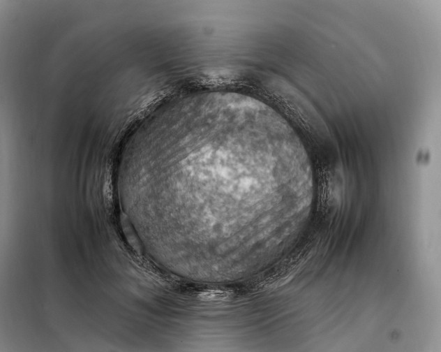 X0000098000700200804071218
