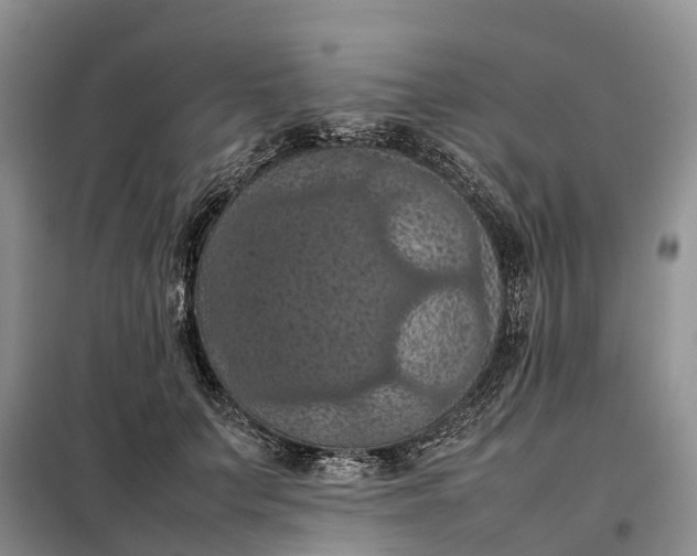 X0000098000703200804071218