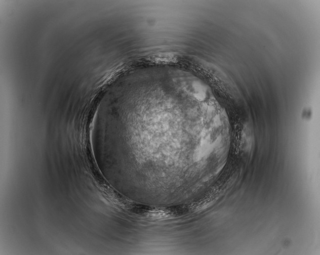 X0000098000704200804071218
