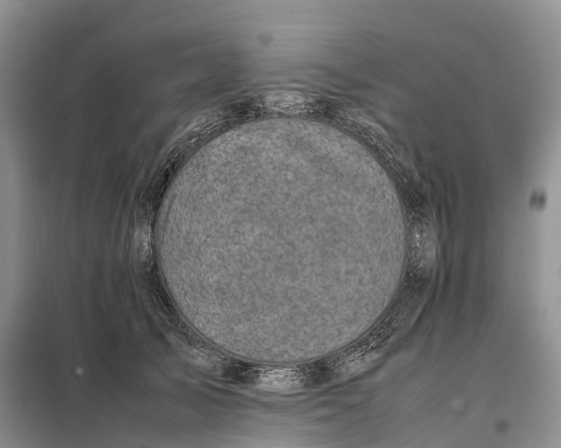 X0000098000705200804071218