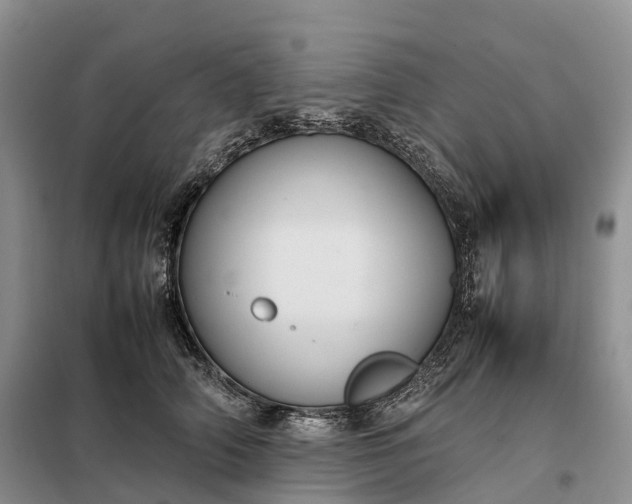 X0000098000706200804071218