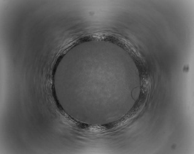 X0000098000707200804071218