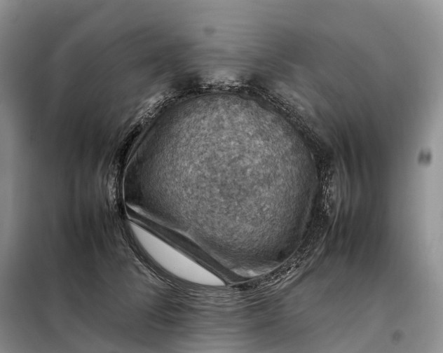 X0000098000708200804071218