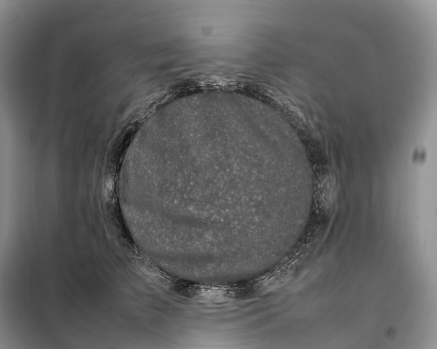 X0000098000709200804071218