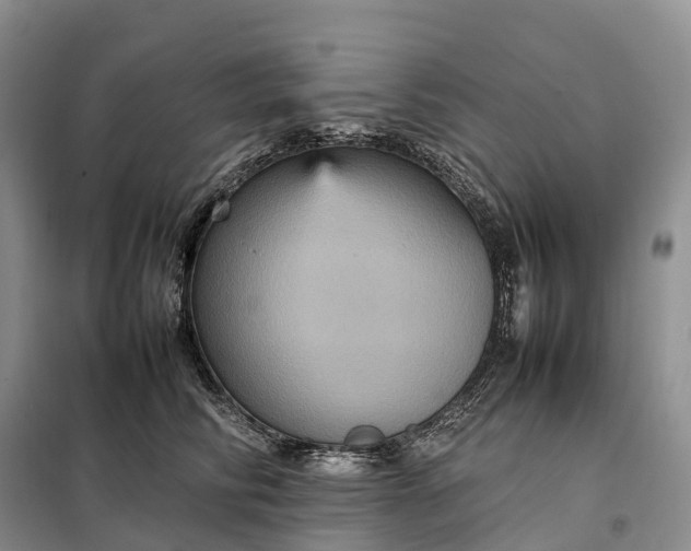 X0000098000710200804071218
