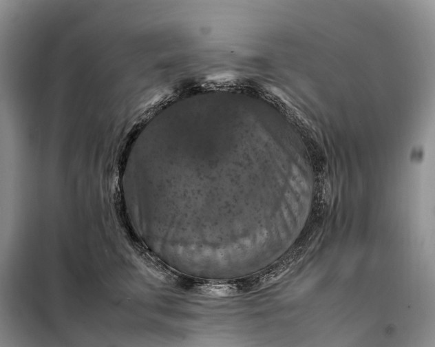 X0000098000711200804071218
