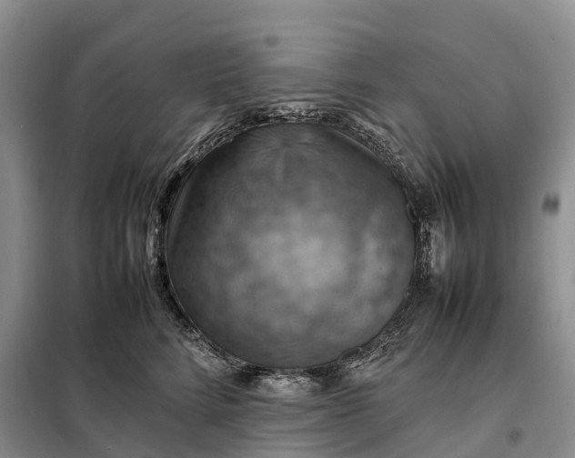 X0000098000712200804071218
