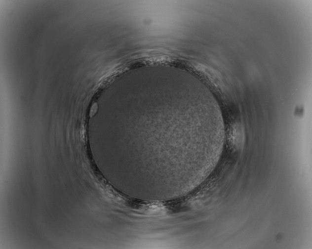 X0000098000715200804071218