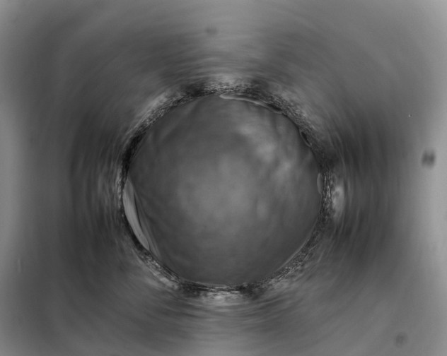 X0000098000716200804071218