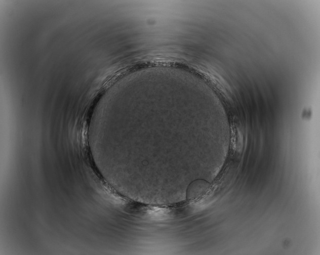 X0000098000718200804071218