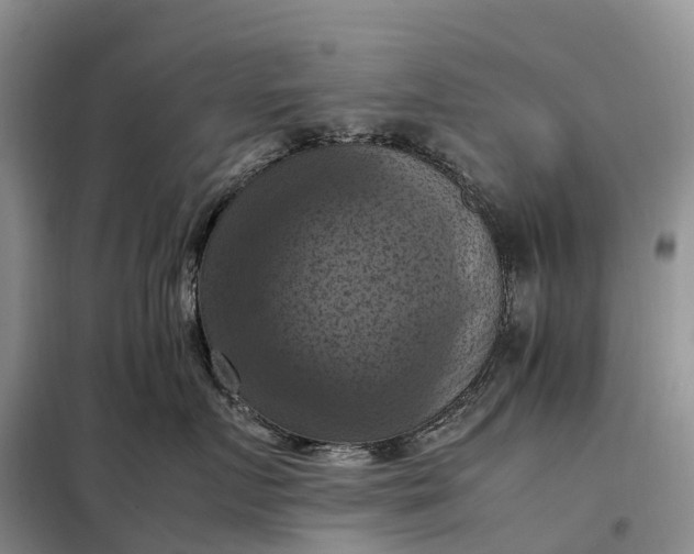 X0000098000719200804071218