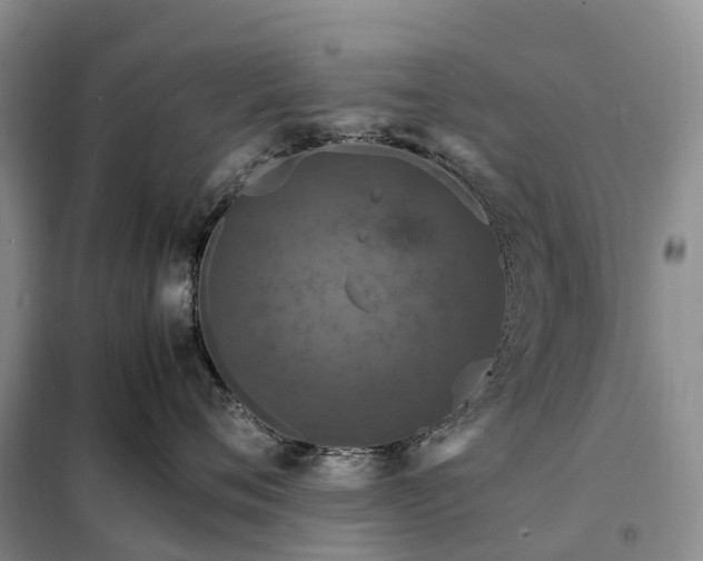 X0000098000720200804071218