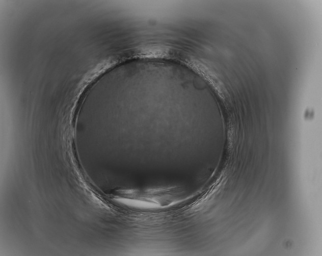 X0000098000721200804071217