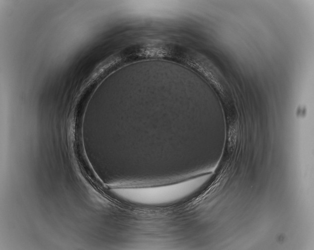 X0000098000722200804071217