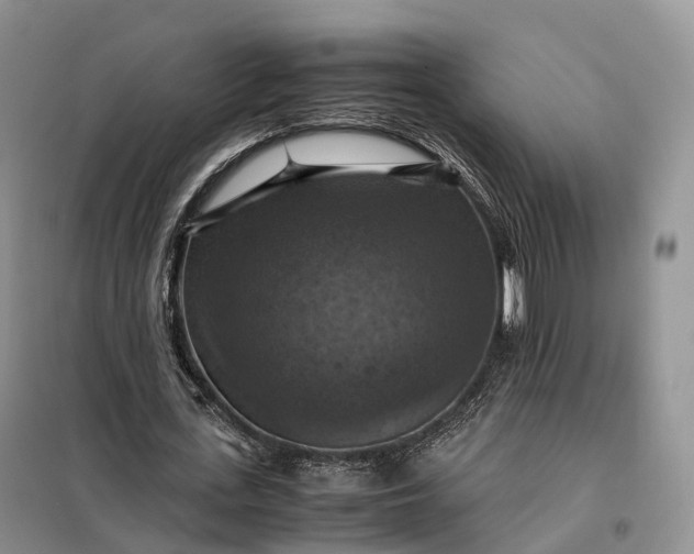 X0000098000723200804071217