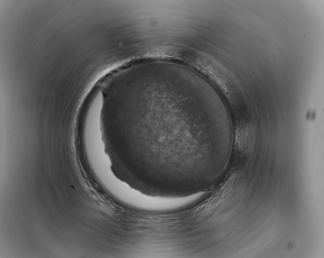 X0000098000724200804071217