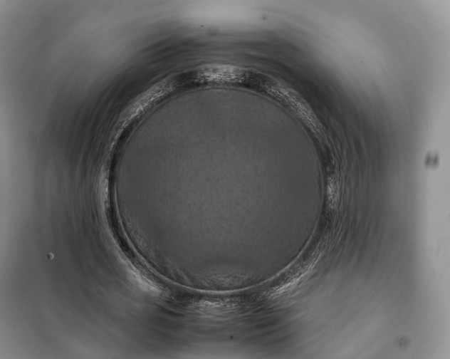 X0000098000725200804071217