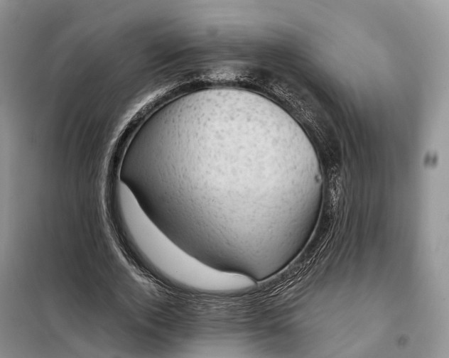 X0000098000728200804071217
