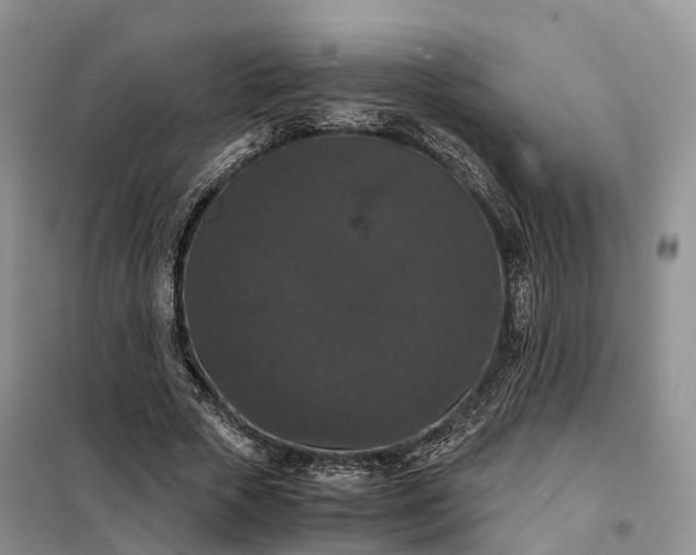 X0000098000729200804071217